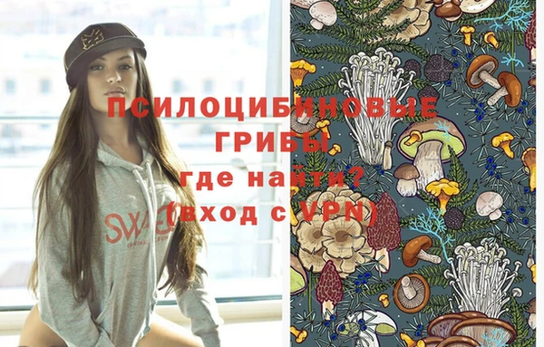 СК Богородск