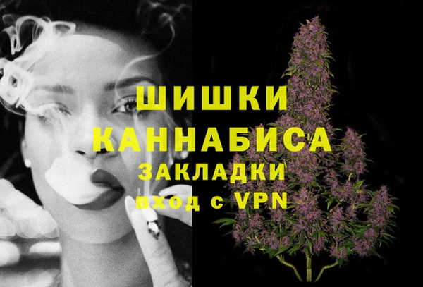 СК Богородск