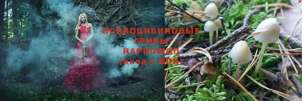 СК Богородск