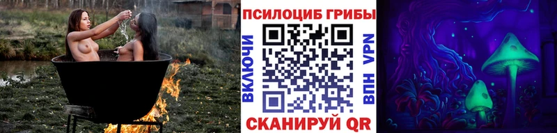 Галлюциногенные грибы Magic Shrooms  где купить наркоту  гидра ONION  Нелидово 